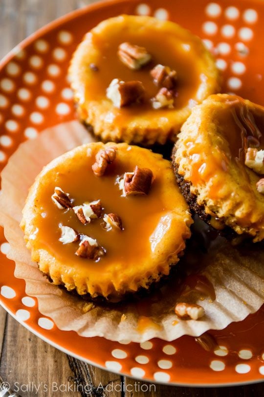 Mini Pumpkin Pecan Gingersnap Cheesecakes with Salted Caramel